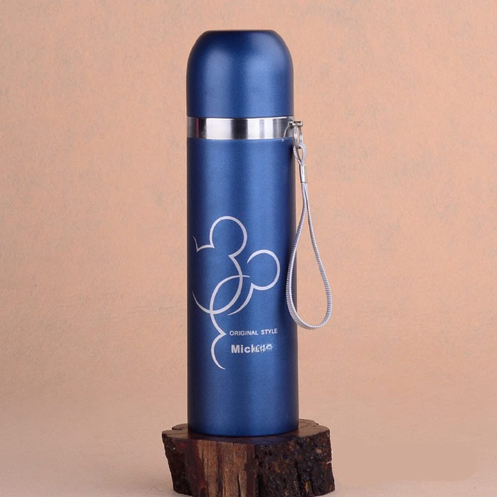 Insulated Flask