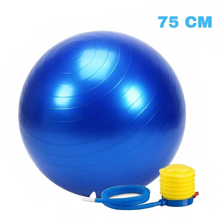 Gym Ball